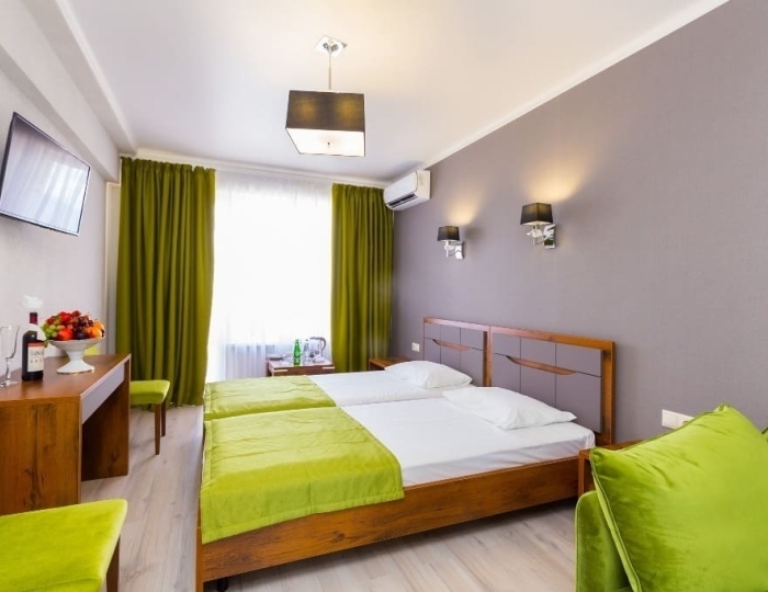 Стандарт 2-местн. 1-комн. (корп. Главный) - Пансионат «Литфонд»