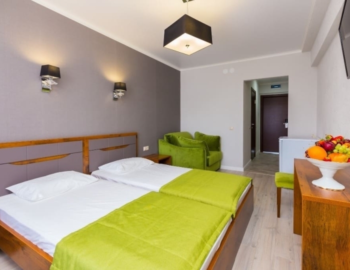 Стандарт 2-местн. 1-комн. (корп. Главный) - Пансионат «Литфонд»